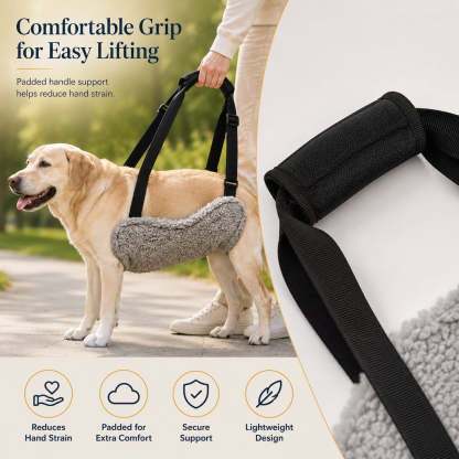 Dog Lift Support Sling for Stairs & Walks - Adjustable Mobility Harness for Senior Dogs with Weak Legs