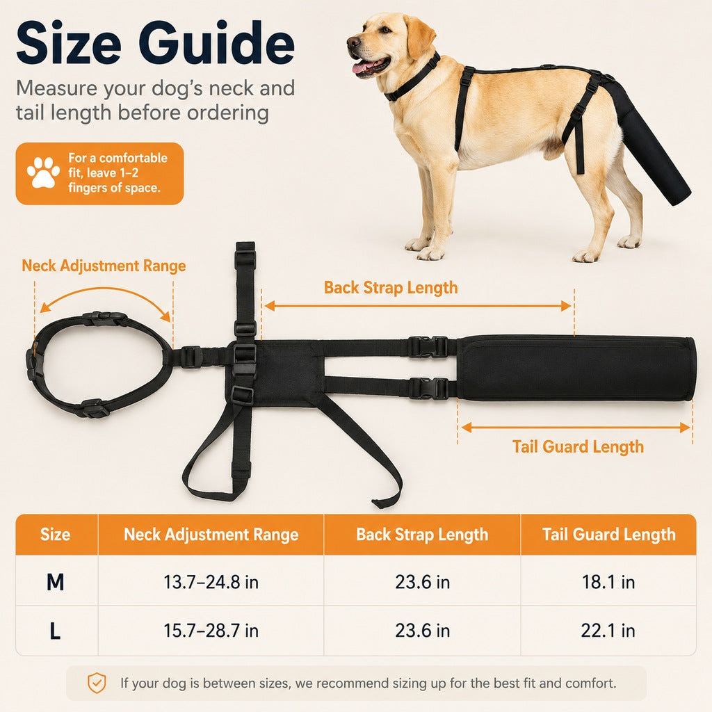 Adjustable Dog Tail Protector for Recovery & Daily Walks - Padded Guard for Sensitive Tails