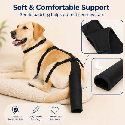 Adjustable Dog Tail Protector for Recovery & Daily Walks - Padded Guard for Sensitive Tails