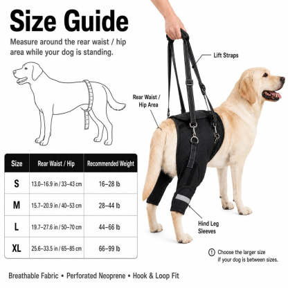 Help Your Senior Dog Climb Stairs, Get in the Car & Walk with Rear-Leg Support