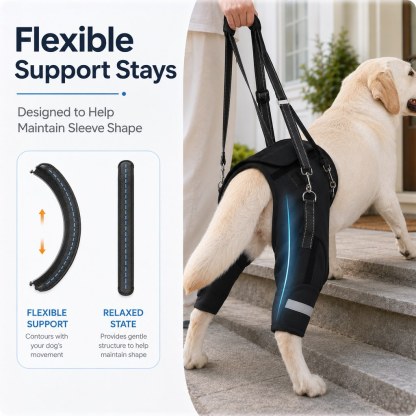 Help Your Senior Dog Climb Stairs, Get in the Car & Walk with Rear-Leg Support