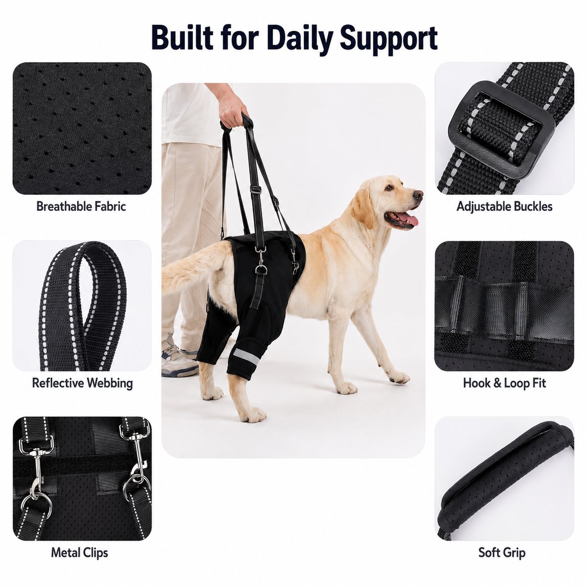Help Your Senior Dog Climb Stairs, Get in the Car & Walk with Rear-Leg Support