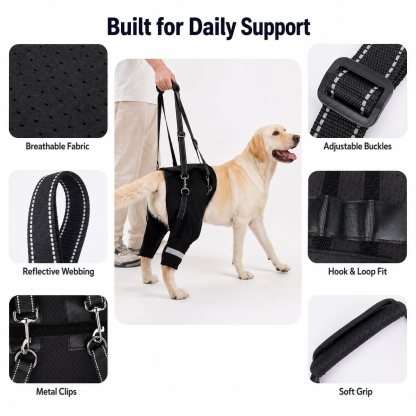 Help Your Senior Dog Climb Stairs, Get in the Car & Walk with Rear-Leg Support