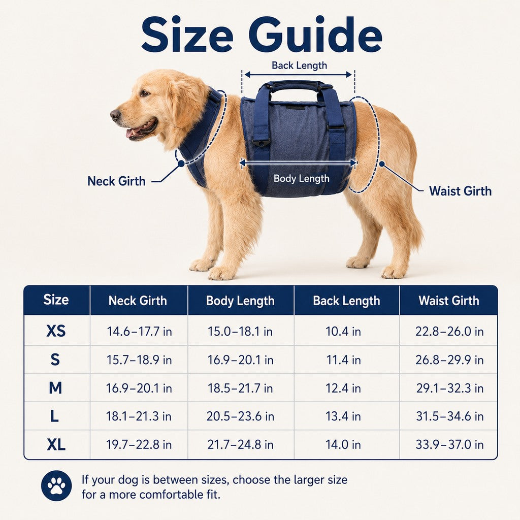 Senior Dog Lift Harness for Stairs, Cars & Daily Walking - Full-Body Support for Weak Legs