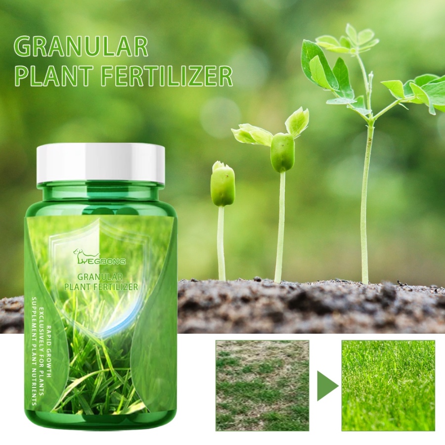 Yegbong Plant Nutrient Solution – Fertilizer for Flowers, Potted Plants, Lawns & Green Foliage