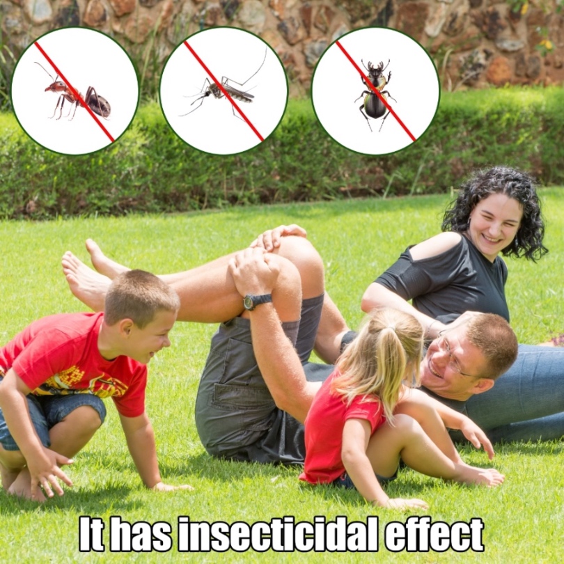 Yegbong Green Lawn Spray – Concentrated Nutrient Solution for Backyard, Outdoor Fields & Football Turf