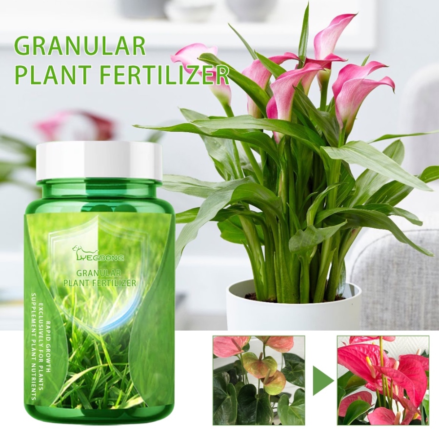 Yegbong Plant Nutrient Solution – Fertilizer for Flowers, Potted Plants, Lawns & Green Foliage