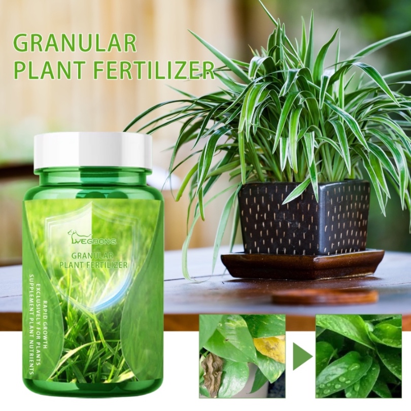 Yegbong Plant Nutrient Solution – Fertilizer for Flowers, Potted Plants, Lawns & Green Foliage