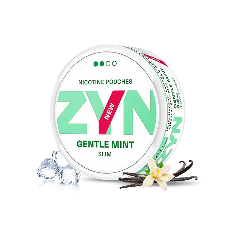 Popular Non Tobacco European Swedish ZYN Chew Pouches-SWEZYN