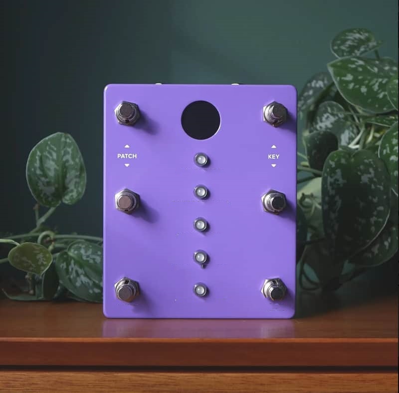 Compressor & Preamp Guitar Pedal – Studio Rack Style with Vintage Grit