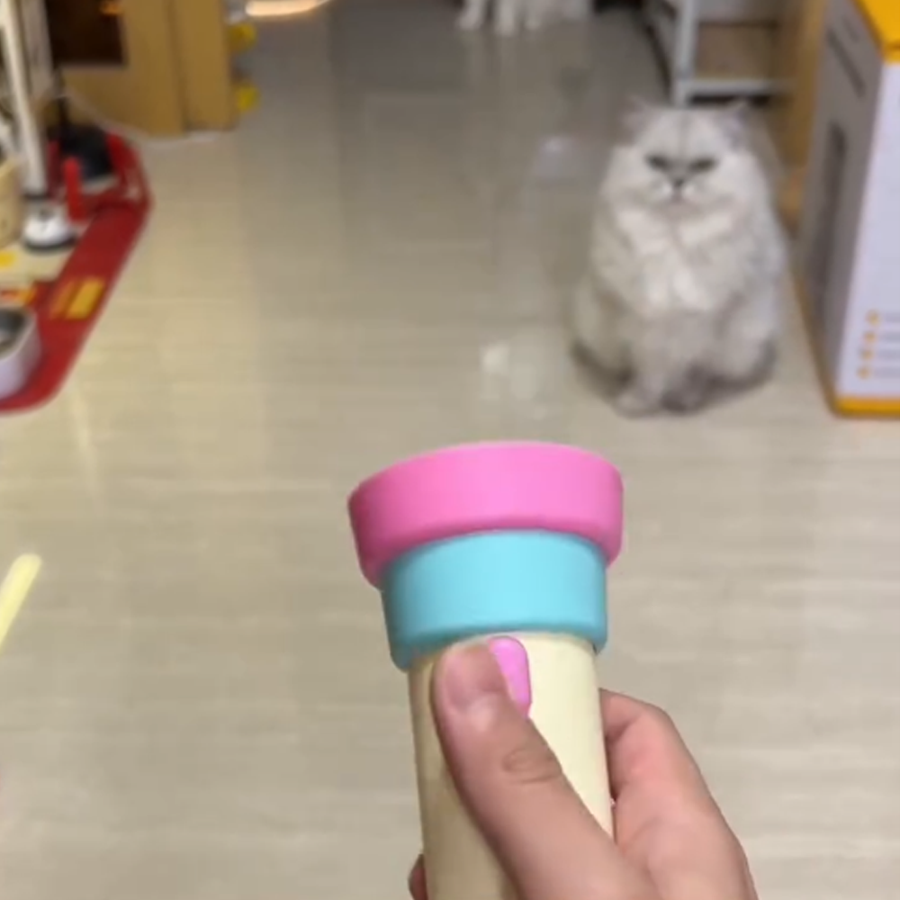 Electric cat toy launcher - launches pom-pom toy