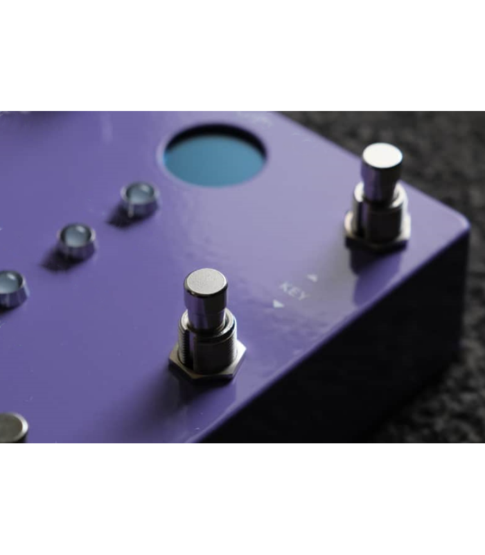 Compressor & Preamp Guitar Pedal – Studio Rack Style with Vintage Grit