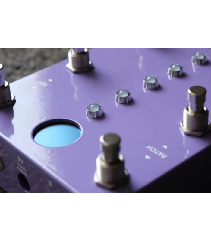 Compressor & Preamp Guitar Pedal – Studio Rack Style with Vintage Grit