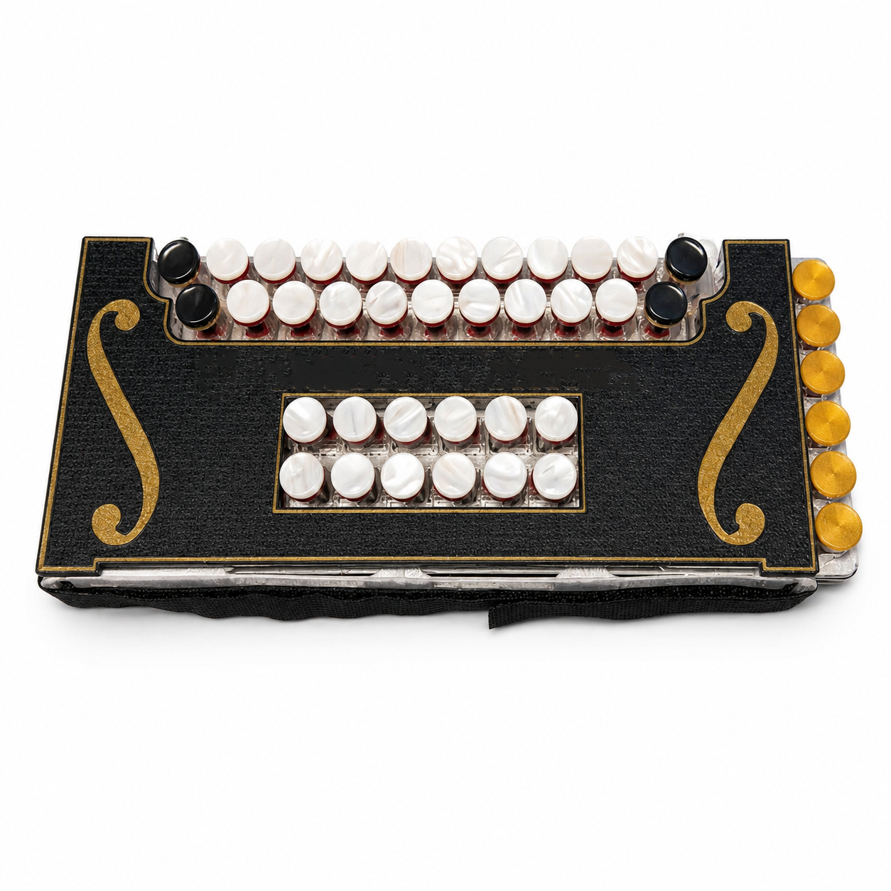 Portable MIDI Accordion – Compact Digital Accordion for Modern Musicians