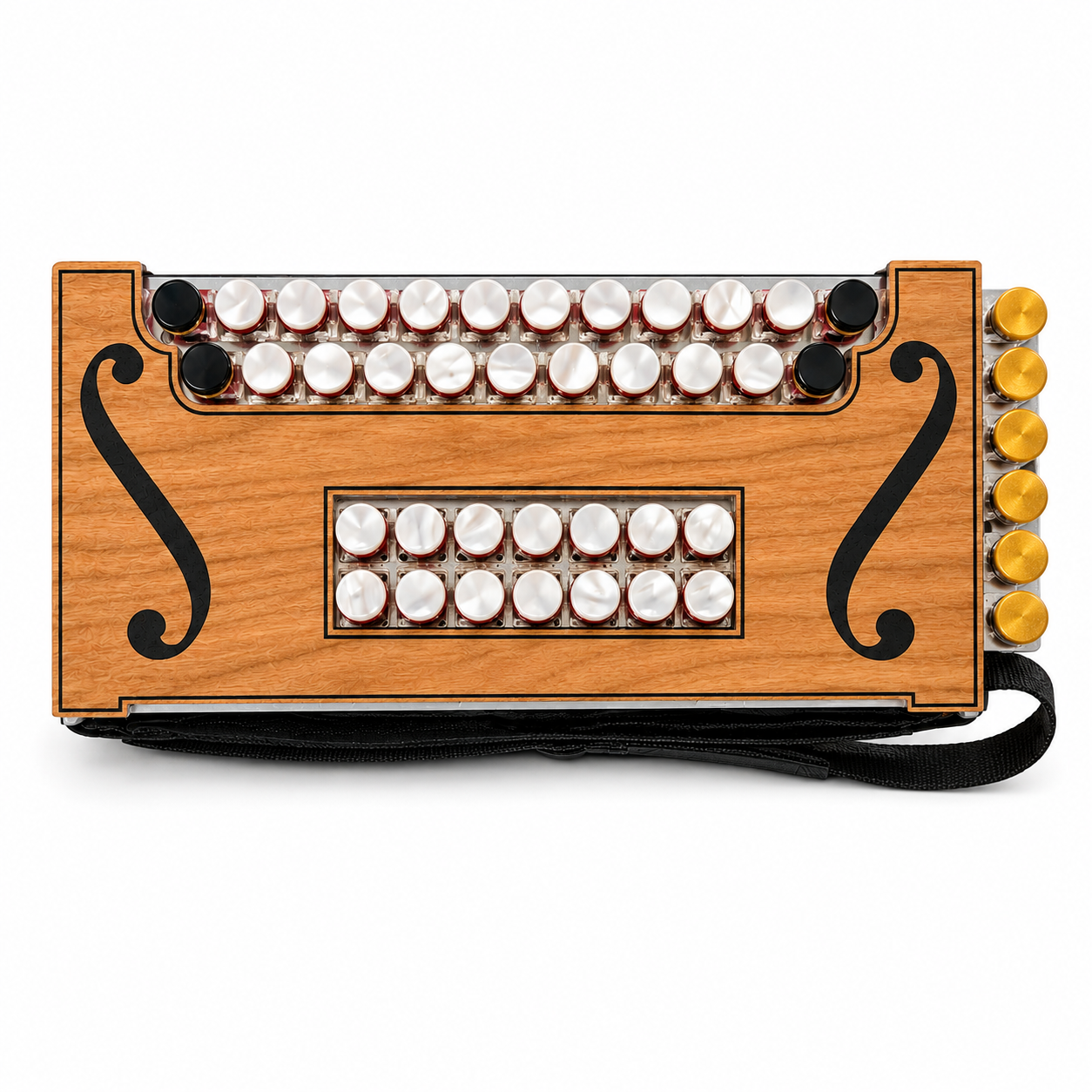 Portable MIDI Accordion – Compact Digital Accordion for Modern Musicians