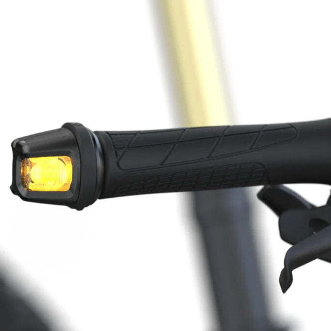 Turn Signal System
