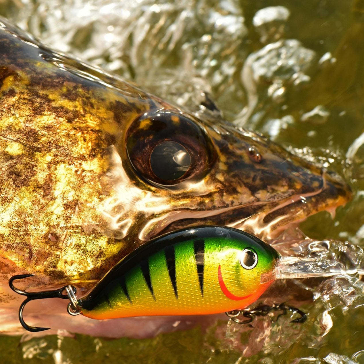 Floating Crankbait Lure 5.5cm / 9.6g
