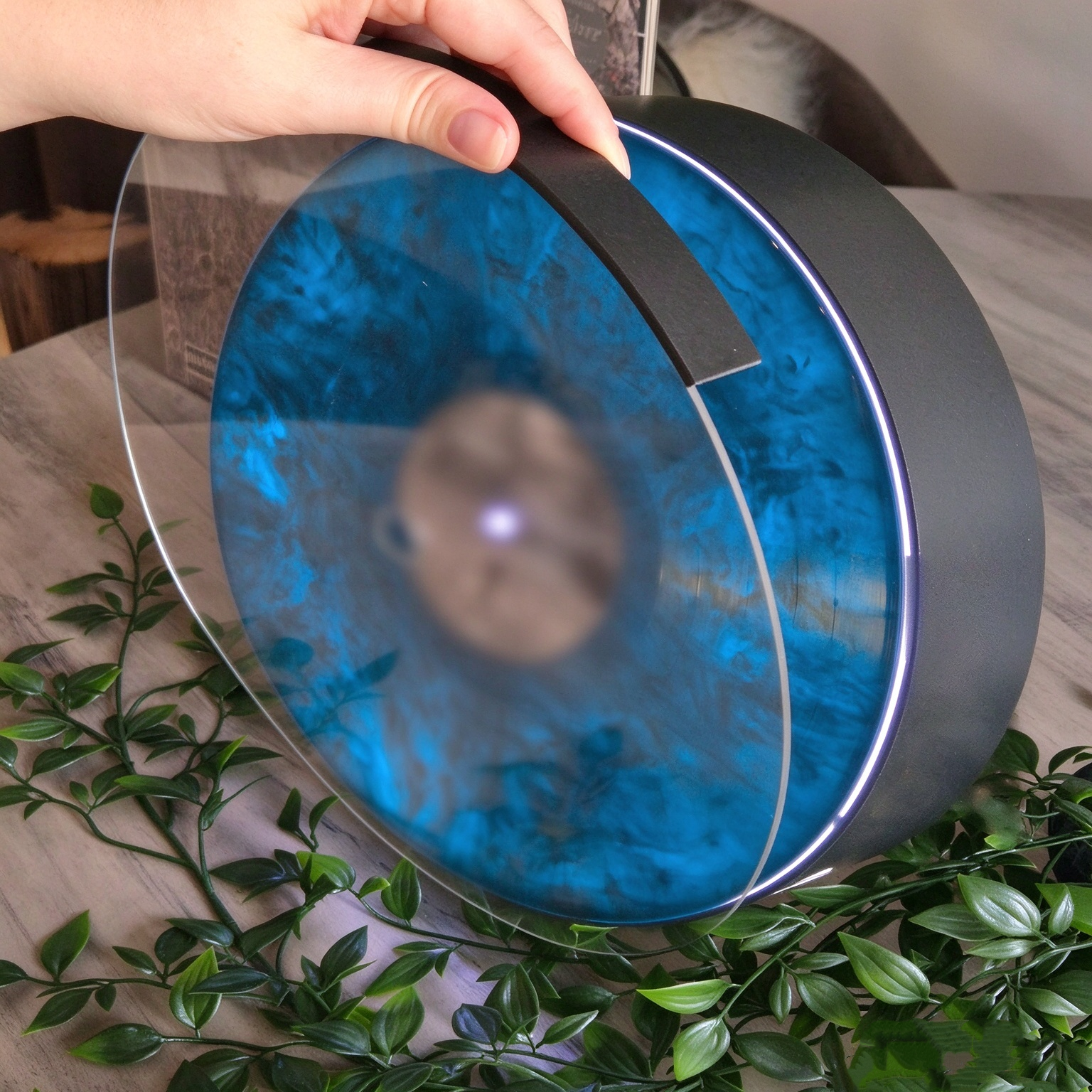 Clear dust cover being positioned over a displayed vinyl record