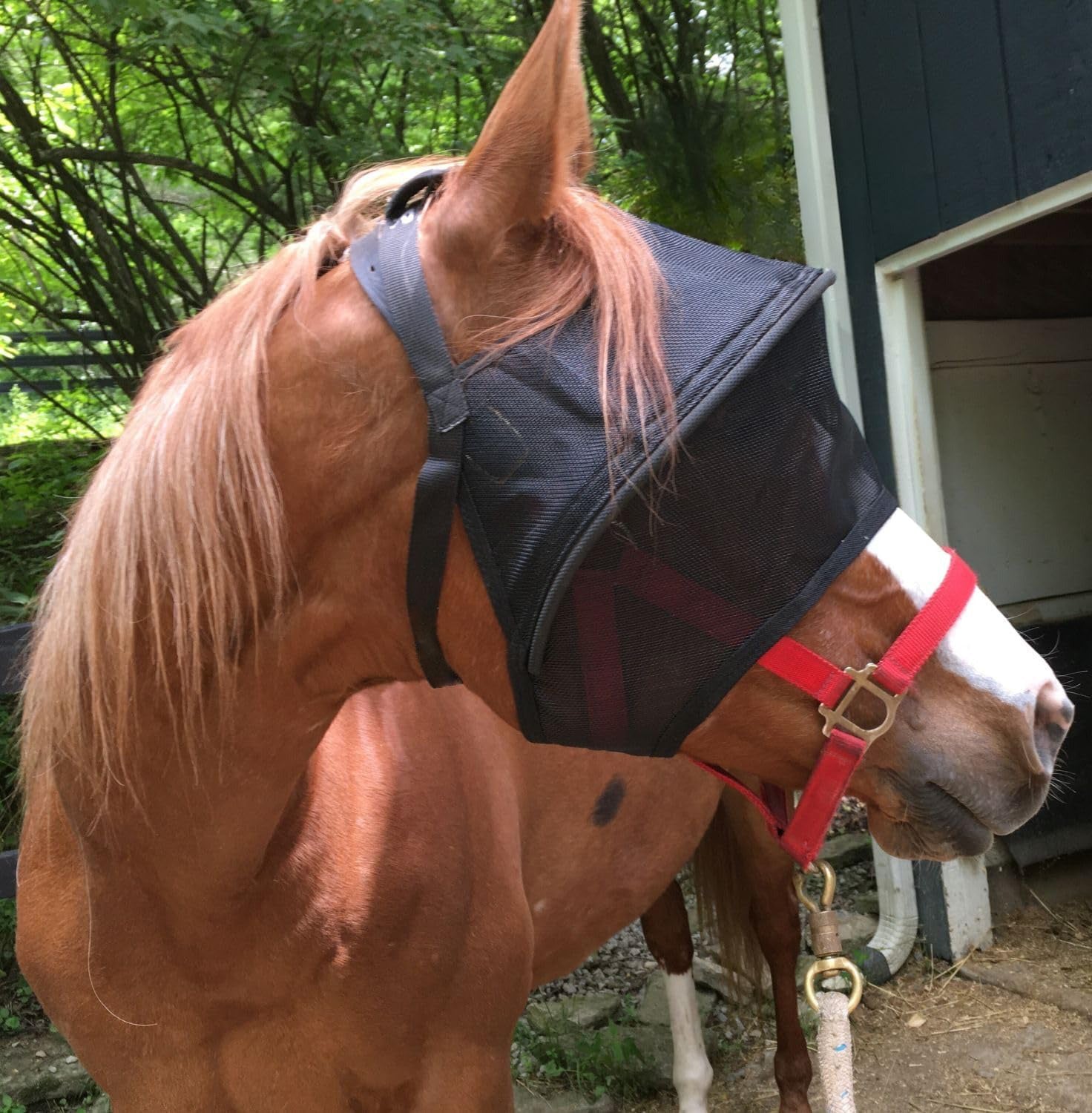 Sun protection fly mask