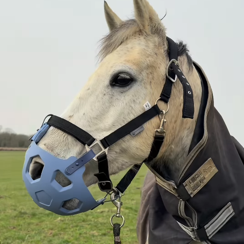 Horse Grazing Muzzle – Limits Intake While Allowing Free Drinking & Breathing