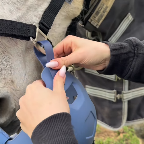 Horse Grazing Muzzle – Limits Intake While Allowing Free Drinking & Breathing