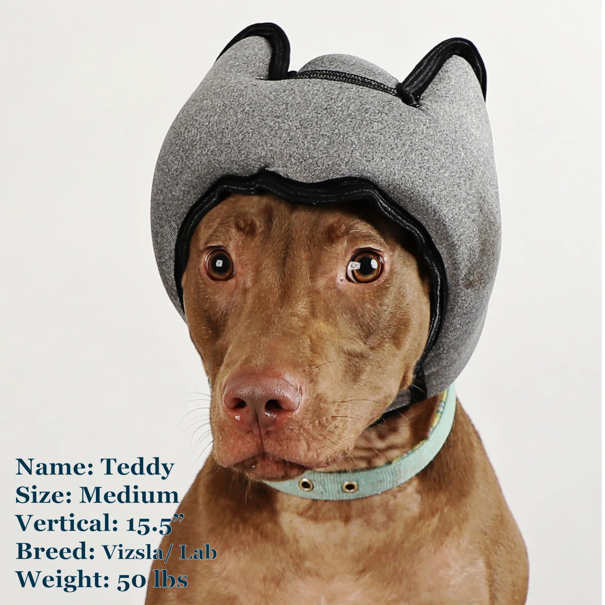 Noise-Cancelling Headphones For Dogs