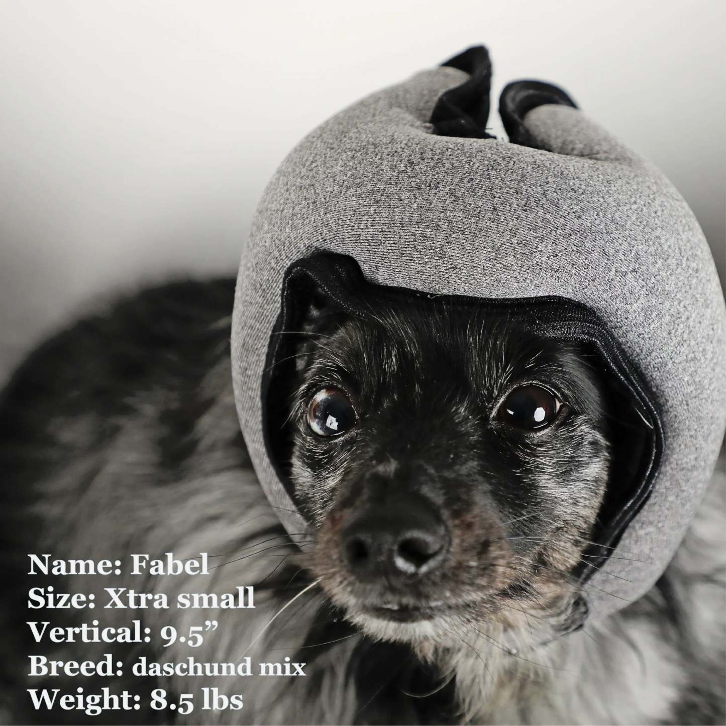Noise-Cancelling Headphones For Dogs
