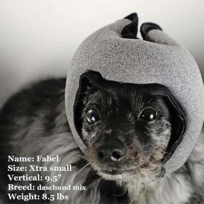 Noise-Cancelling Headphones For Dogs