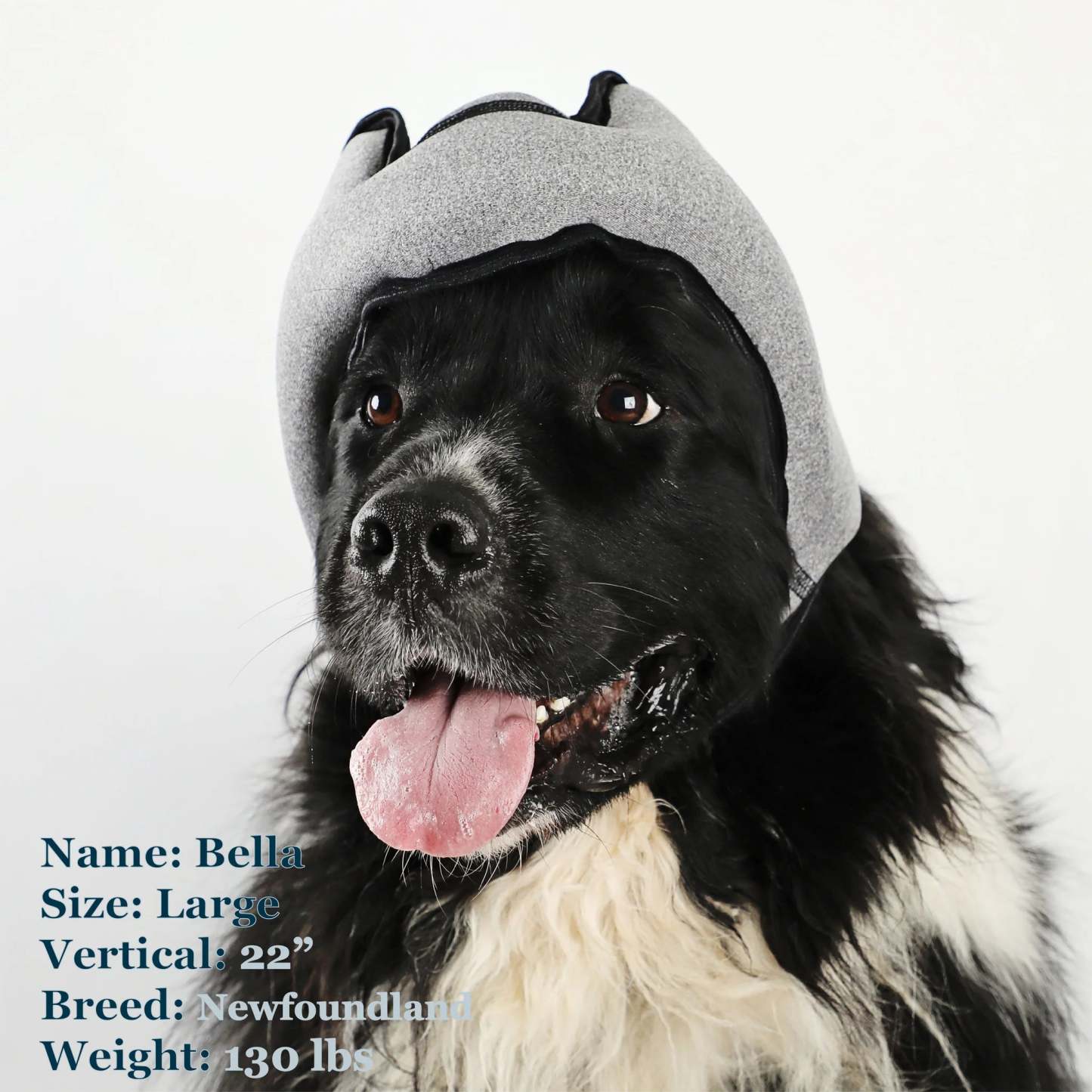Noise-Cancelling Headphones For Dogs