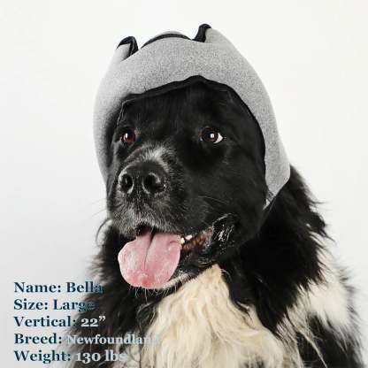 Noise-Cancelling Headphones For Dogs