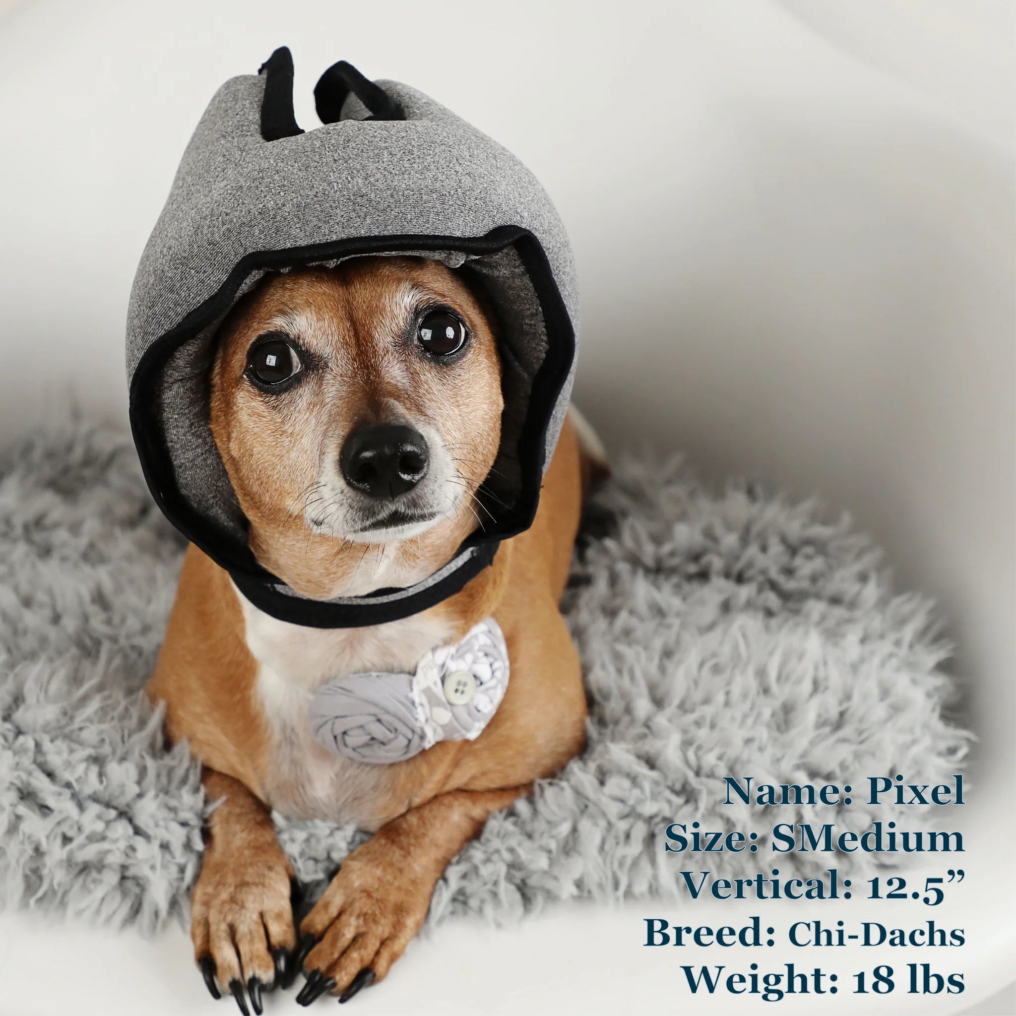 Noise-Cancelling Headphones For Dogs