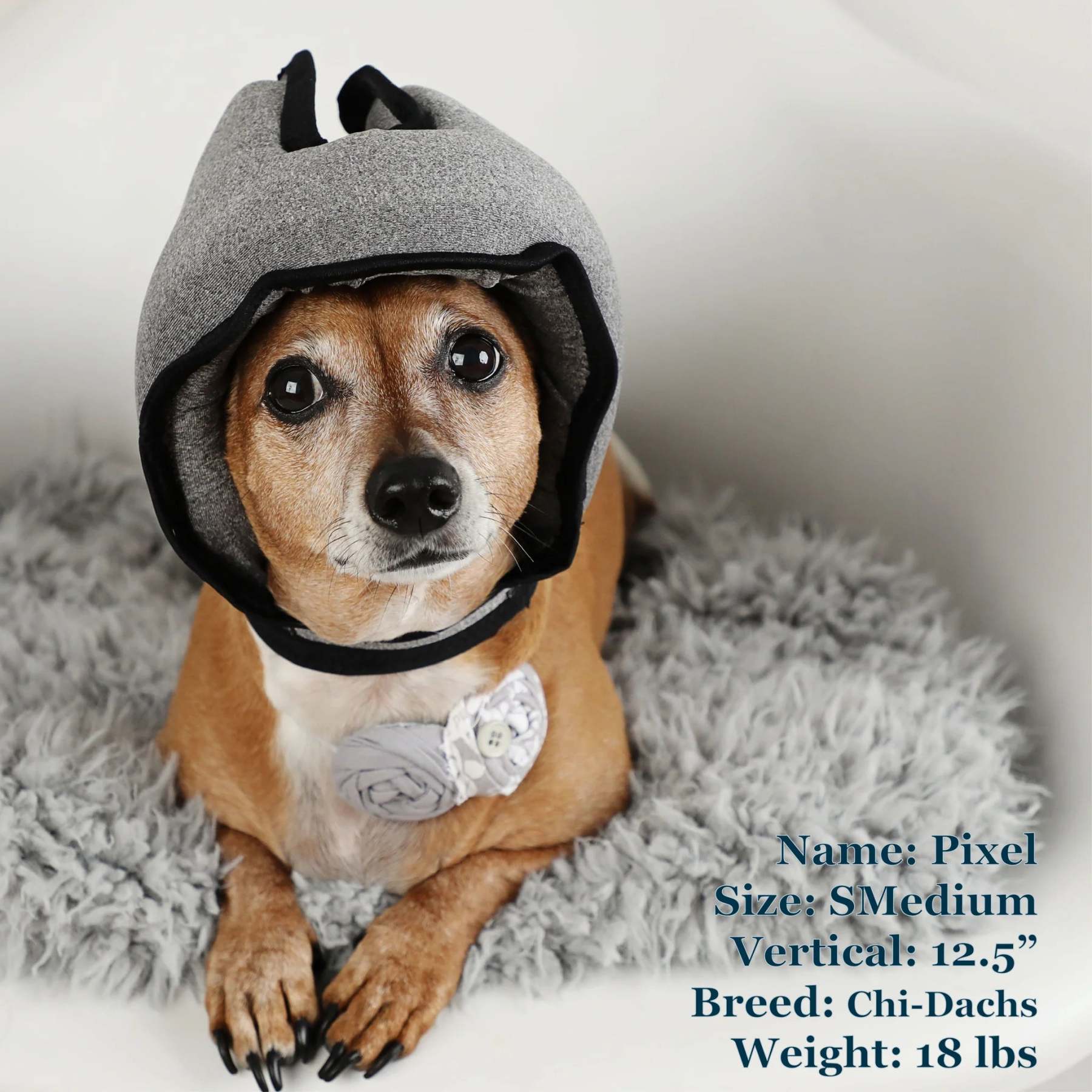 Noise-Cancelling Headphones For Dogs
