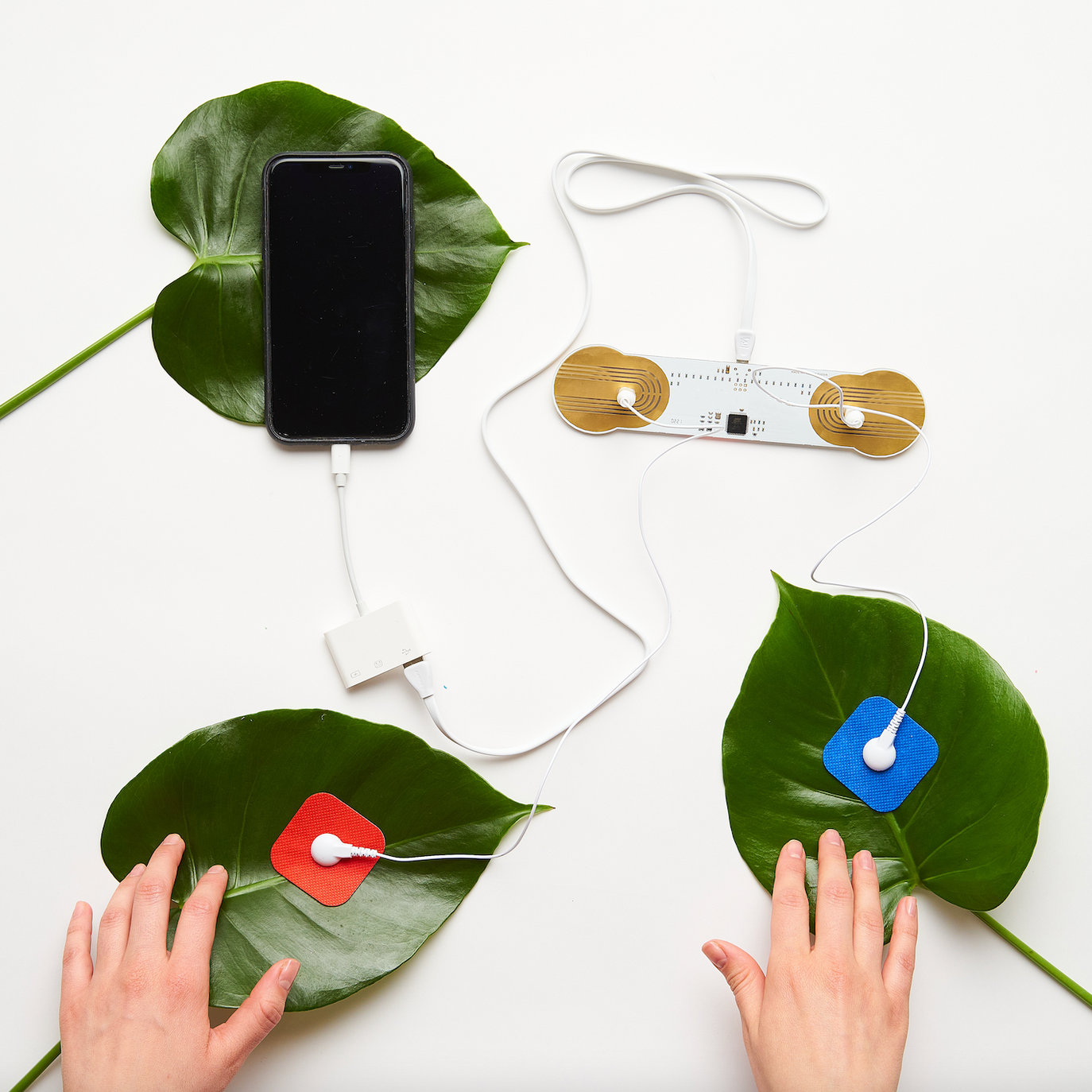 MIDI Controller – Turn Skin, Water, or Flowers into Sound