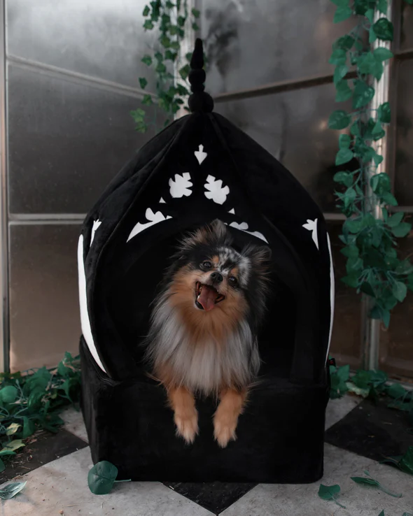 Cathedral Pet Bed