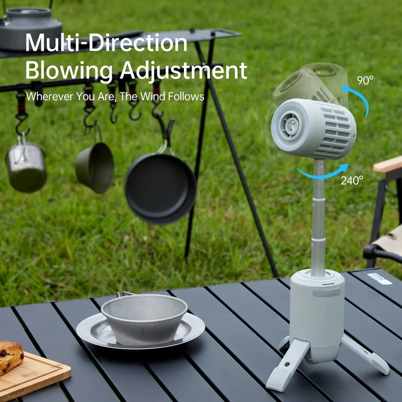 Multi-functional outdoor fan