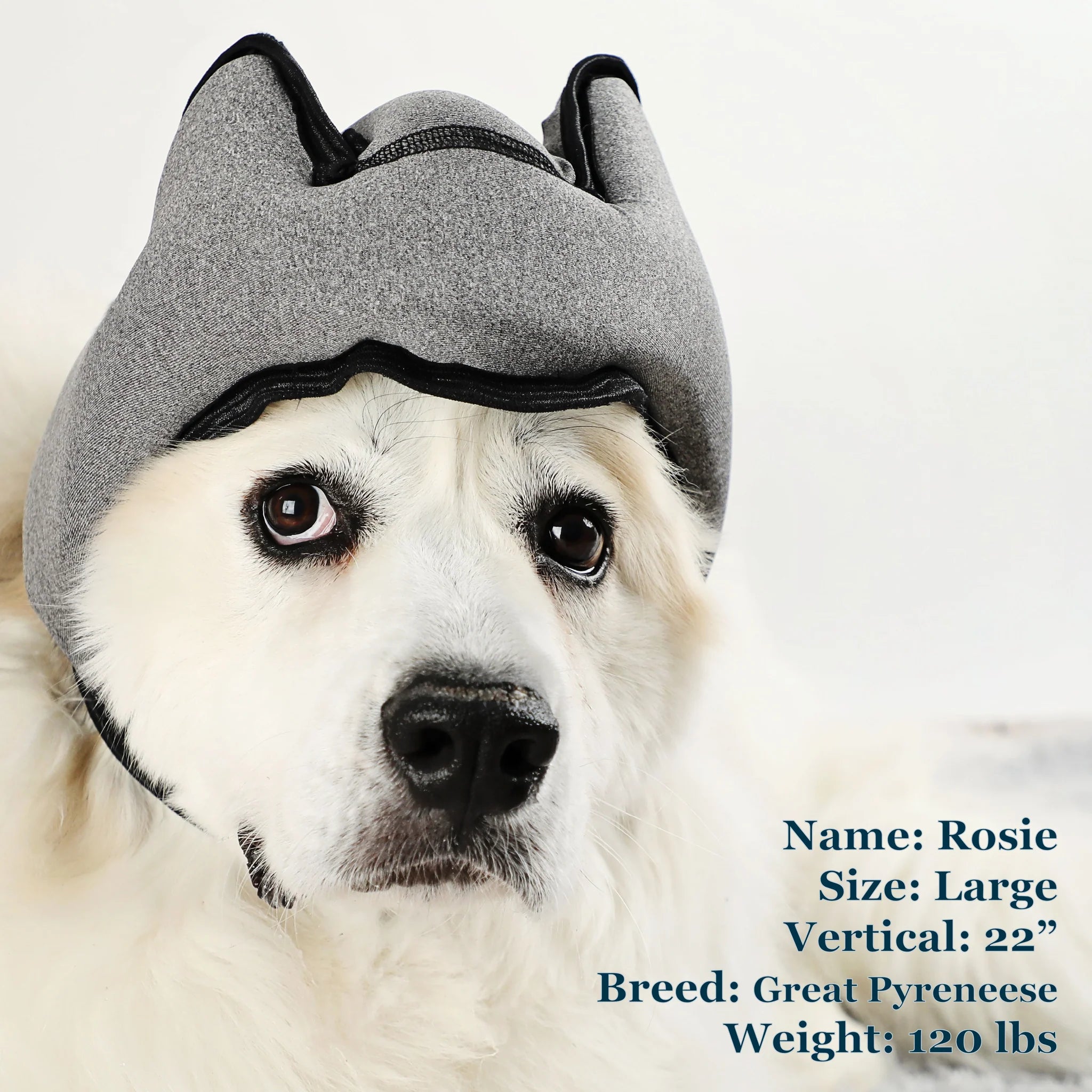 Noise-Cancelling Headphones For Dogs
