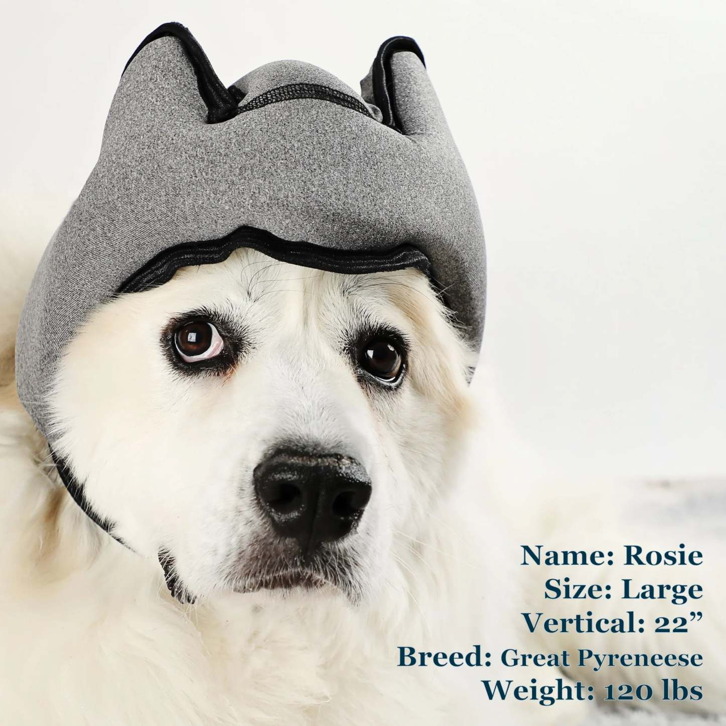 Noise-Cancelling Headphones For Dogs
