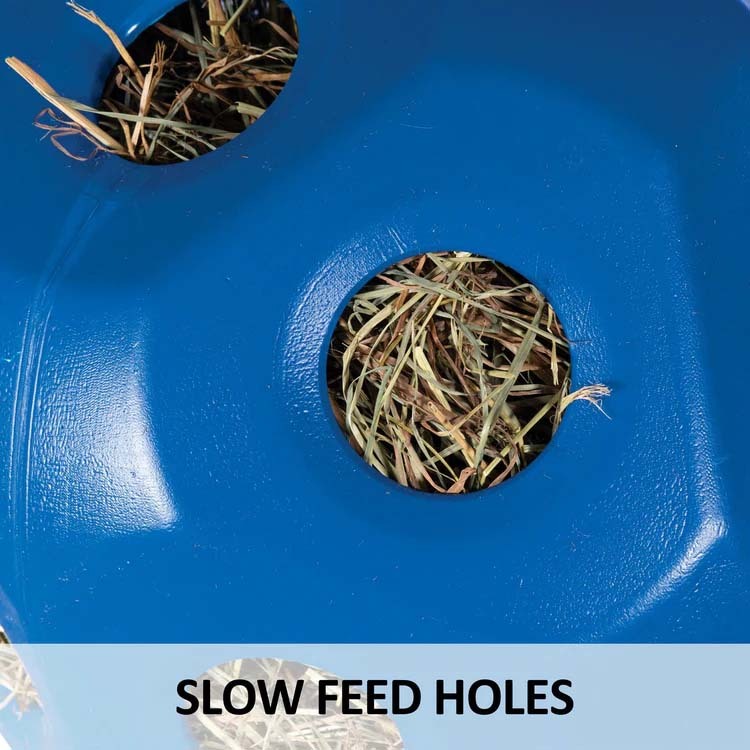 Large Slow-Feeder Hay Ball Simplified Hay Feeding for Horses– Blue & Red