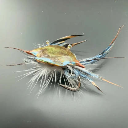 Bring Your Tackle Box to Life