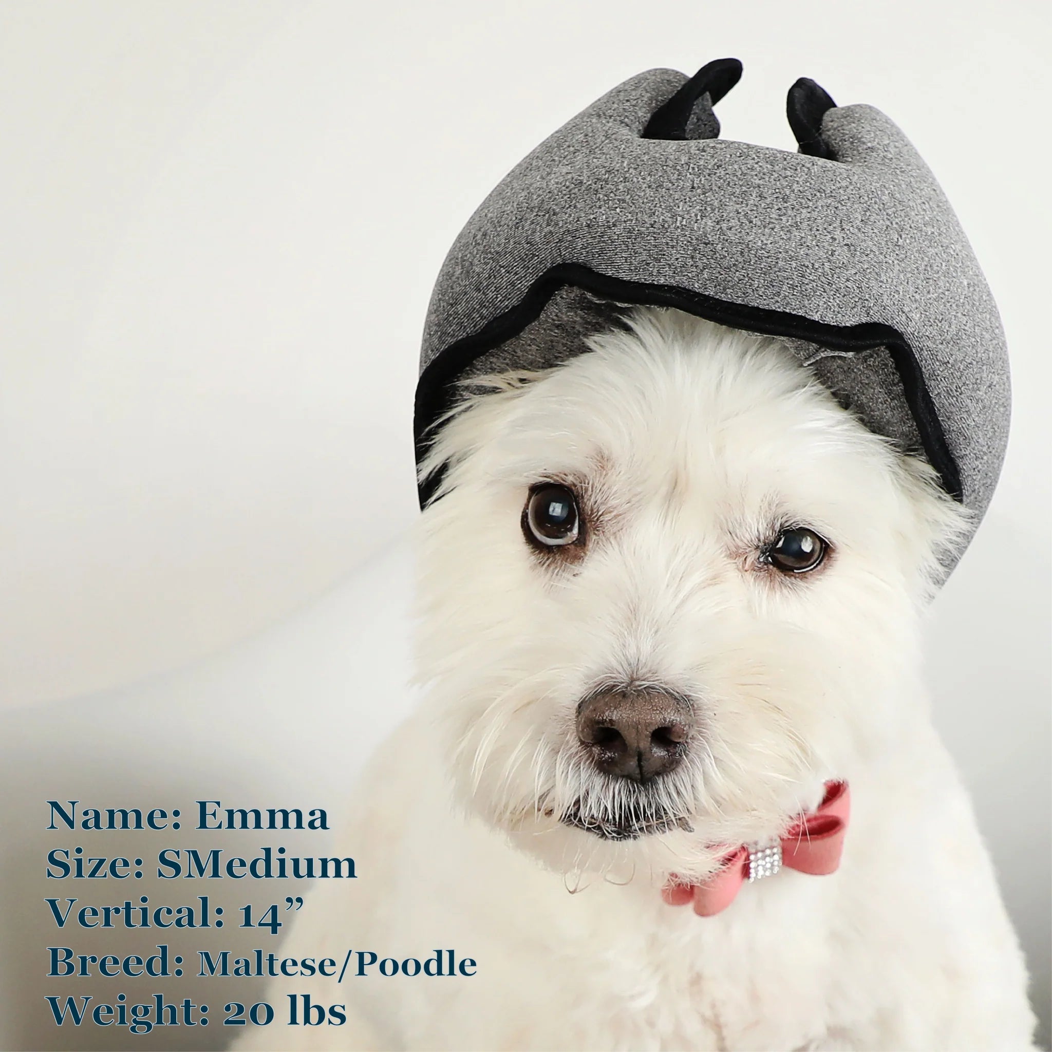 Noise-Cancelling Headphones For Dogs