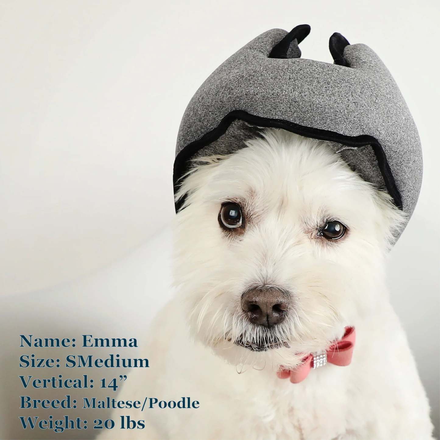 Noise-Cancelling Headphones For Dogs