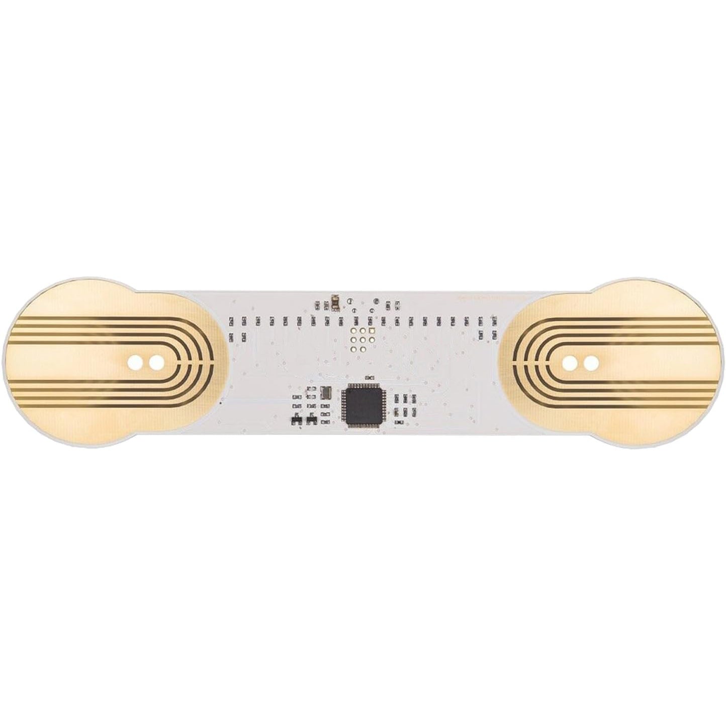 MIDI Controller – Turn Skin, Water, or Flowers into Sound