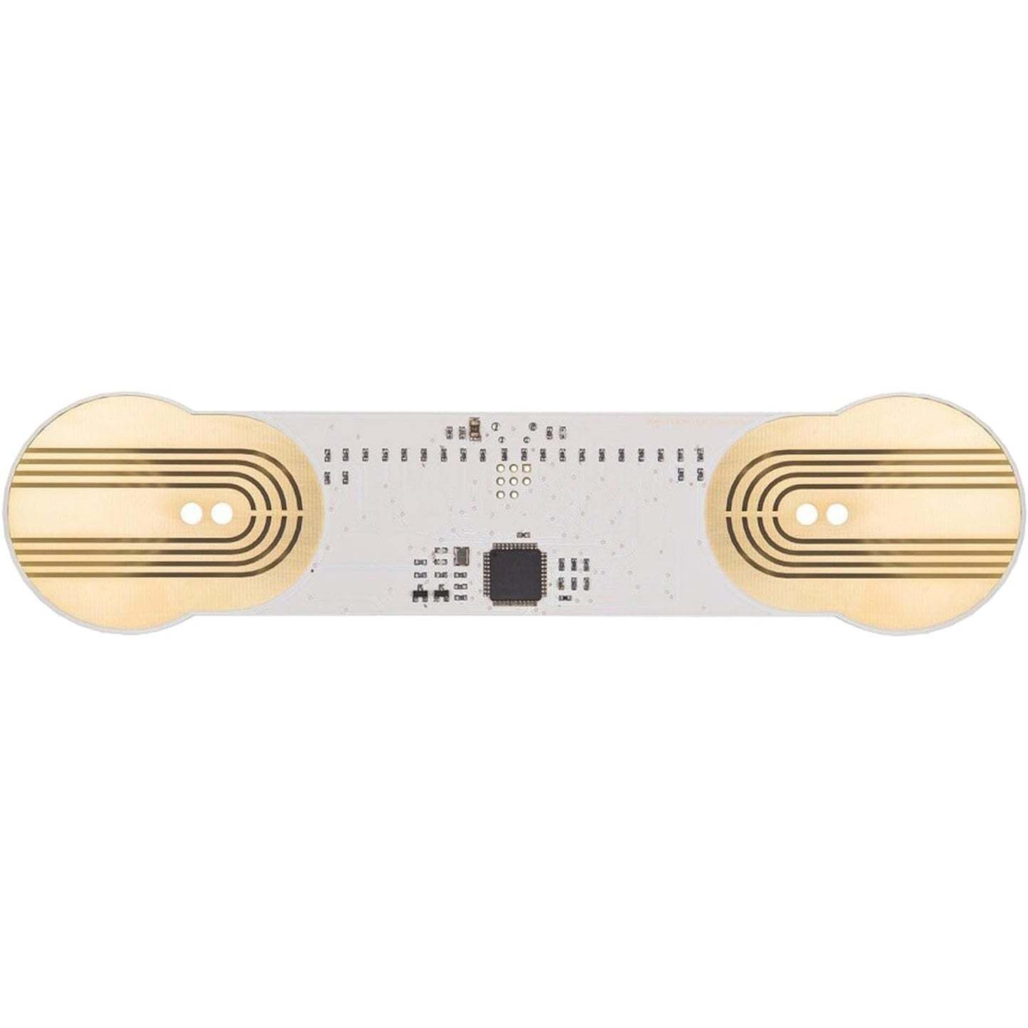 MIDI Controller – Turn Skin, Water, or Flowers into Sound