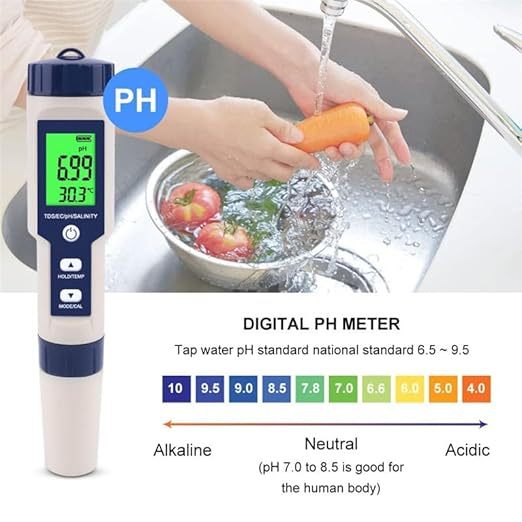 Pool salinity meter and pH meter