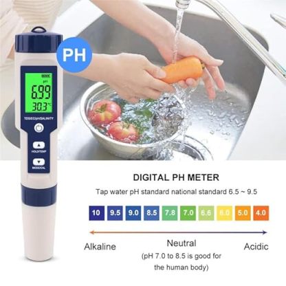 Pool salinity meter and pH meter