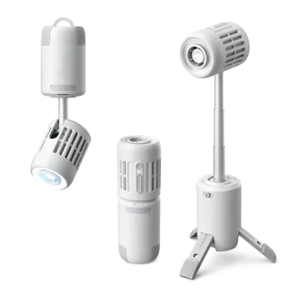 Multi-functional outdoor fan