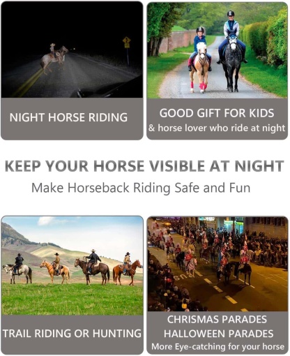 🐎 4-Pack Rechargeable LED Horse Leg Bands – 7-Color Multi-Light Set for Night Riding & Events ✨