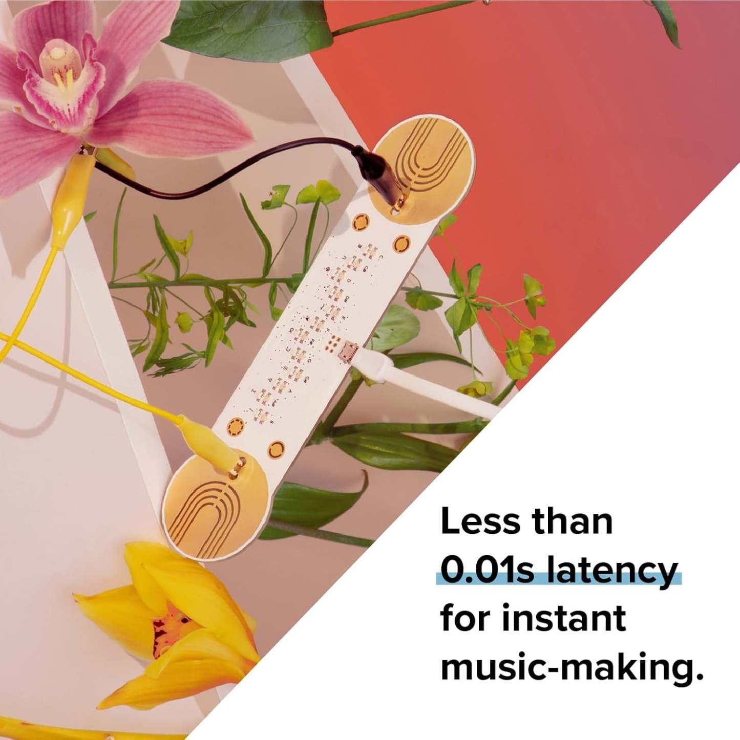 MIDI Controller – Turn Skin, Water, or Flowers into Sound