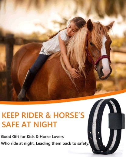 🐎 4-Pack Rechargeable LED Horse Leg Bands – 7-Color Multi-Light Set for Night Riding & Events ✨
