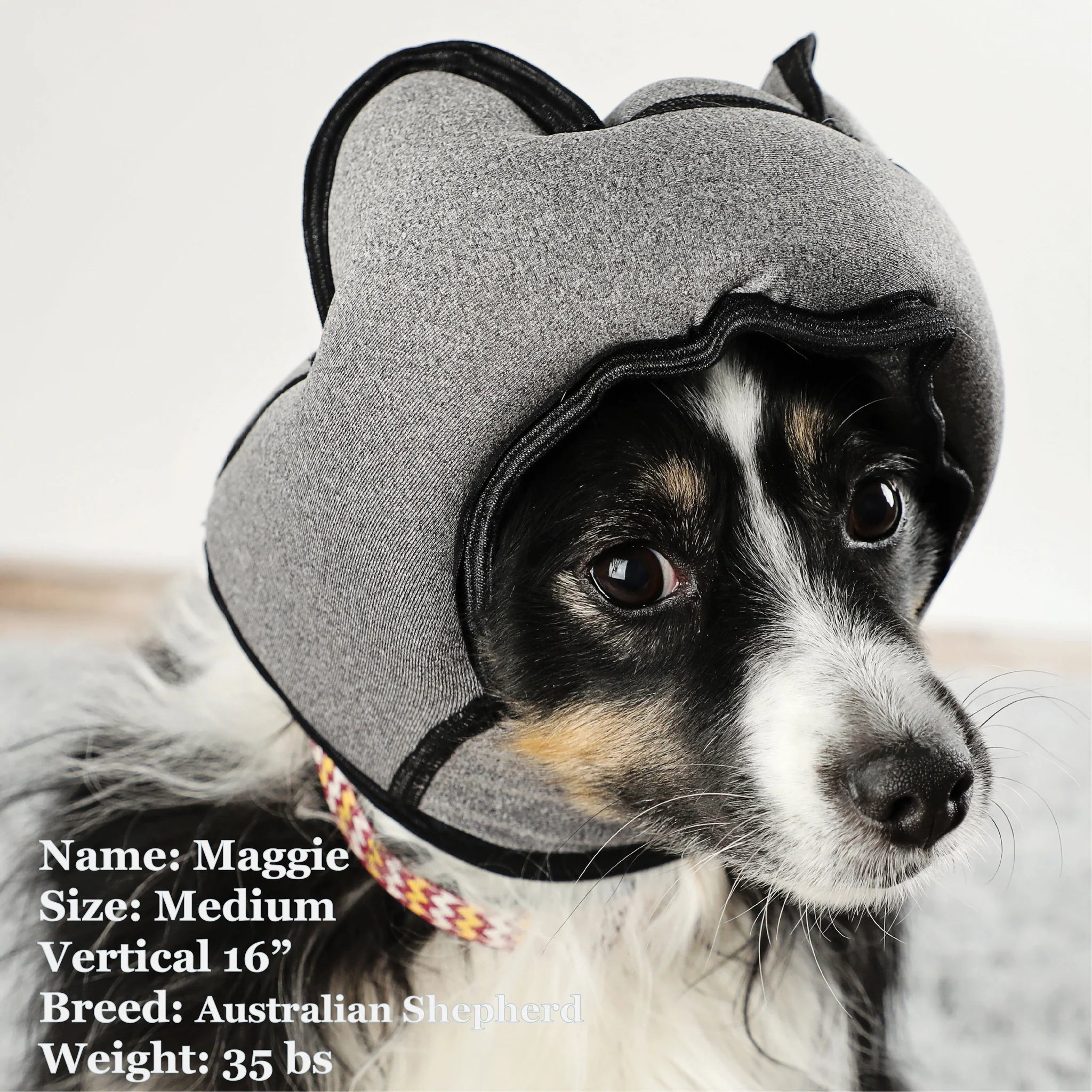 Noise-Cancelling Headphones For Dogs